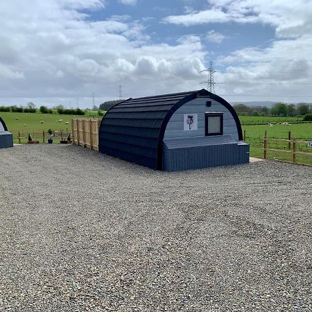 Thistle Pod Farm Stay With Hottub Sleeps 2 Galston  Esterno foto
