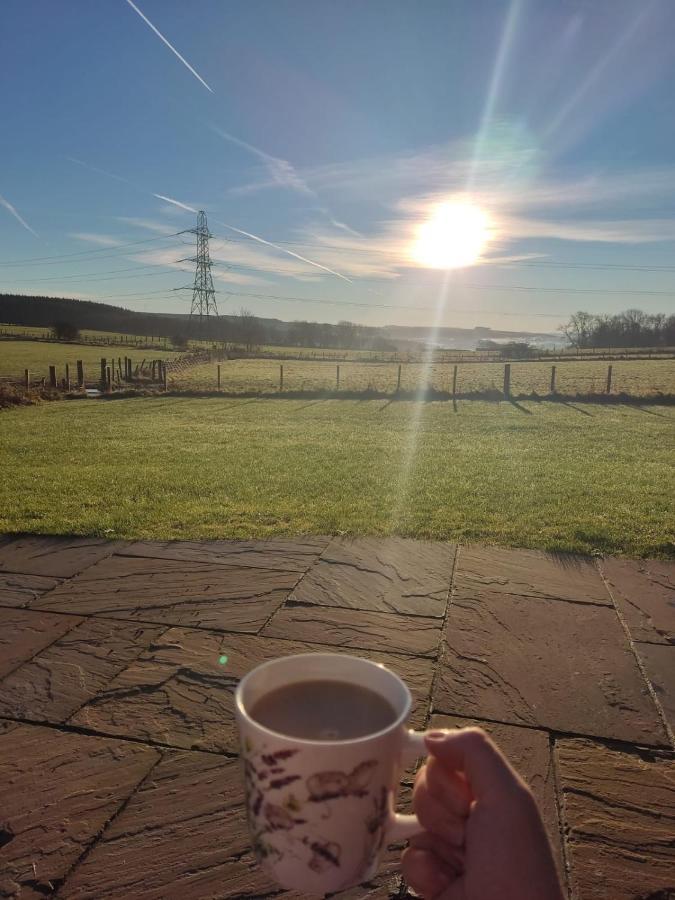 Thistle Pod Farm Stay With Hottub Sleeps 2 Galston  Esterno foto